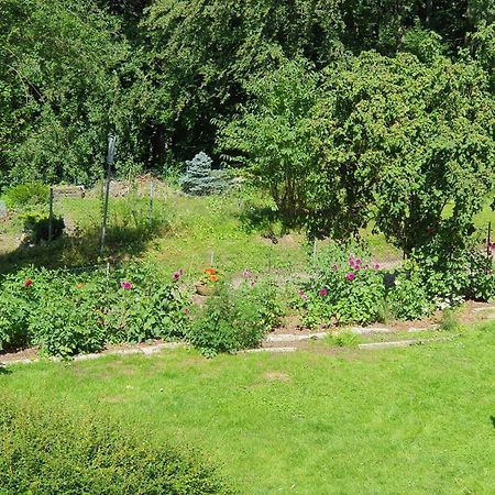 Ferienhaus In Geesthacht-Tesperhude Direkt Am Waldrand Zewnętrze zdjęcie
