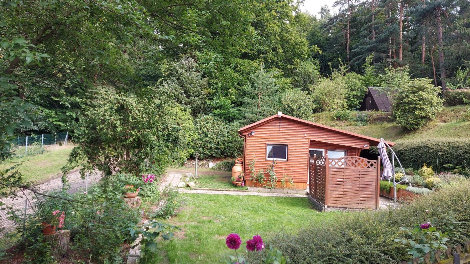Ferienhaus In Geesthacht-Tesperhude Direkt Am Waldrand Zewnętrze zdjęcie