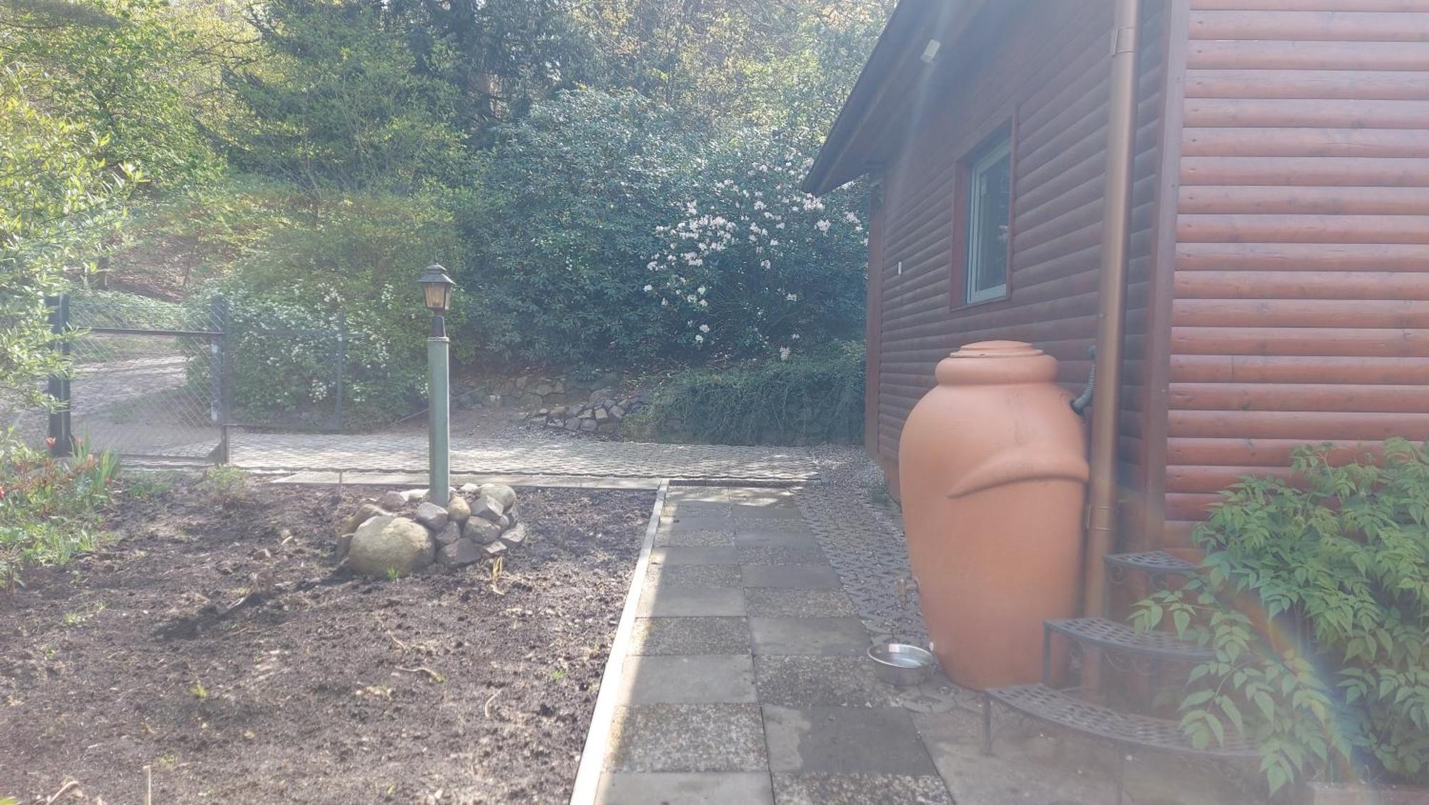 Ferienhaus In Geesthacht-Tesperhude Direkt Am Waldrand Zewnętrze zdjęcie