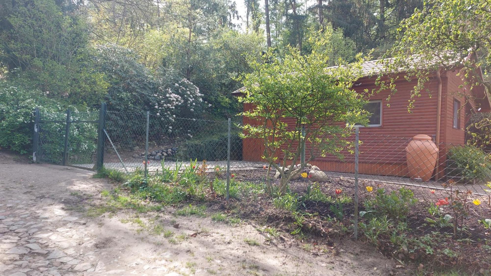 Ferienhaus In Geesthacht-Tesperhude Direkt Am Waldrand Zewnętrze zdjęcie